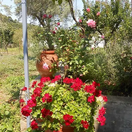 Dafnes Guest house Skopelos Town