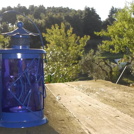 Dafnes Maison d'hôtes Skopelos